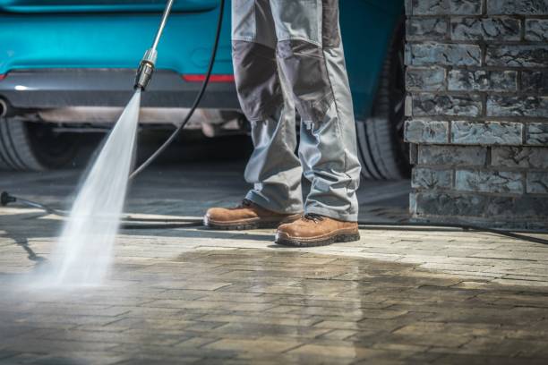 Pre-Holiday Cleaning in Stony Brook University, NY